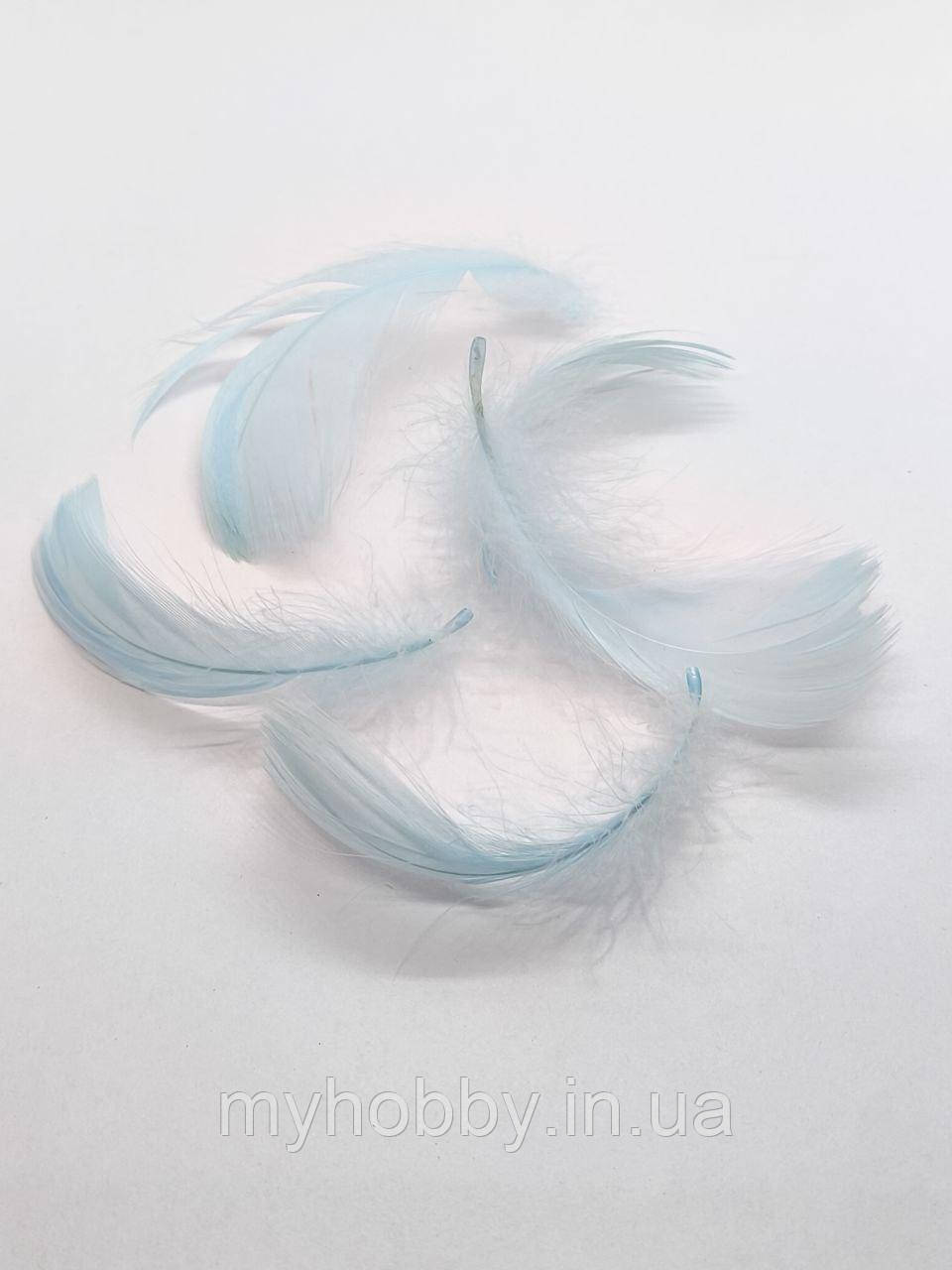 Декоративне Пір'я 5-10см Блакитне -5шт, фото 1