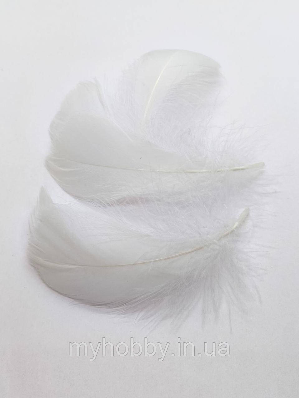 Декоративне Пір'я 5-10см Біле -5шт, фото 1