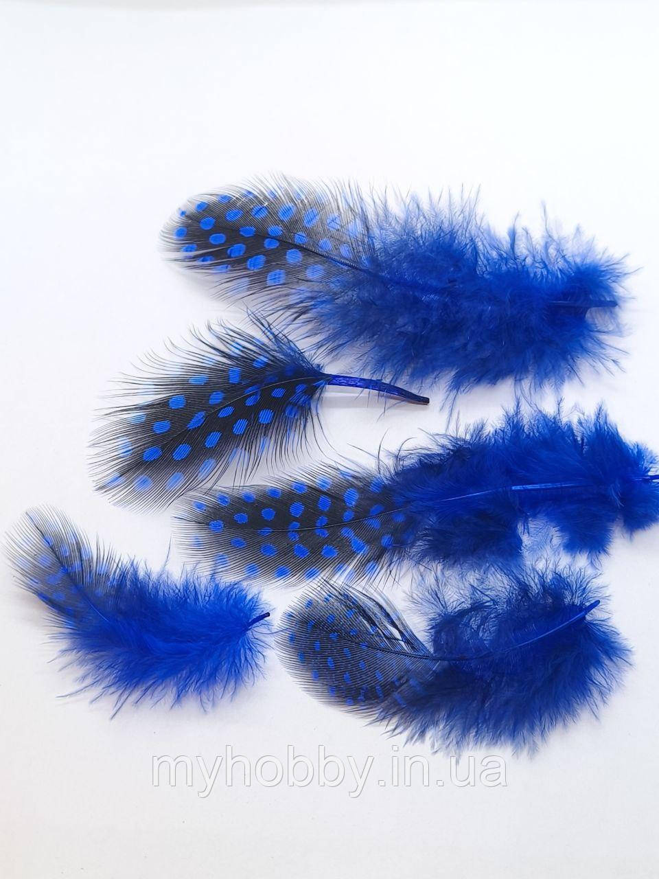 Декоративне Пір'я в горошок 5-10см Синє -5шт, фото 1
