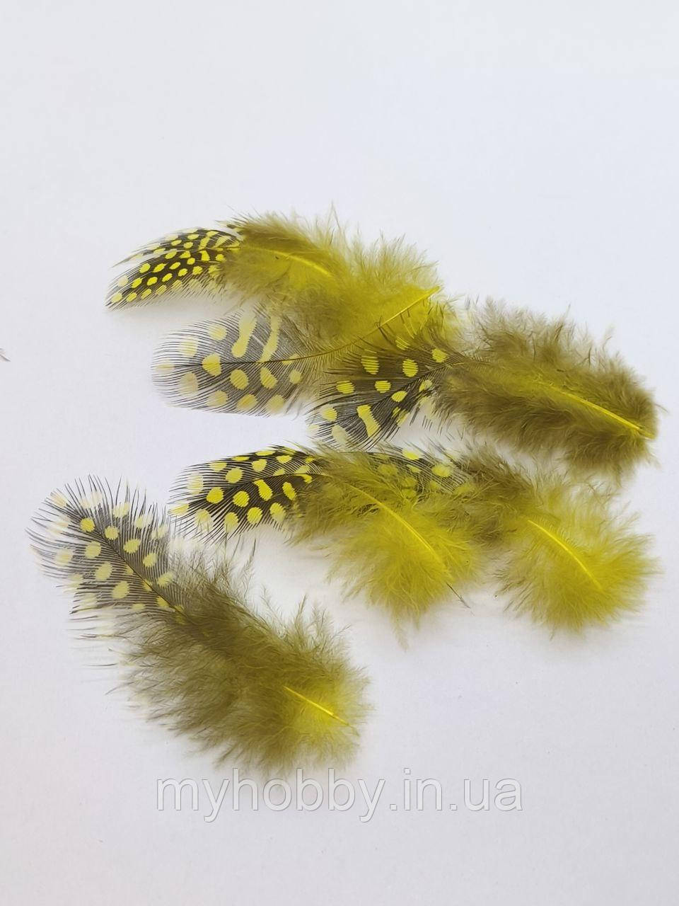 Декоративне Пір'я в горошок 5-10см Жовте -5шт, фото 1