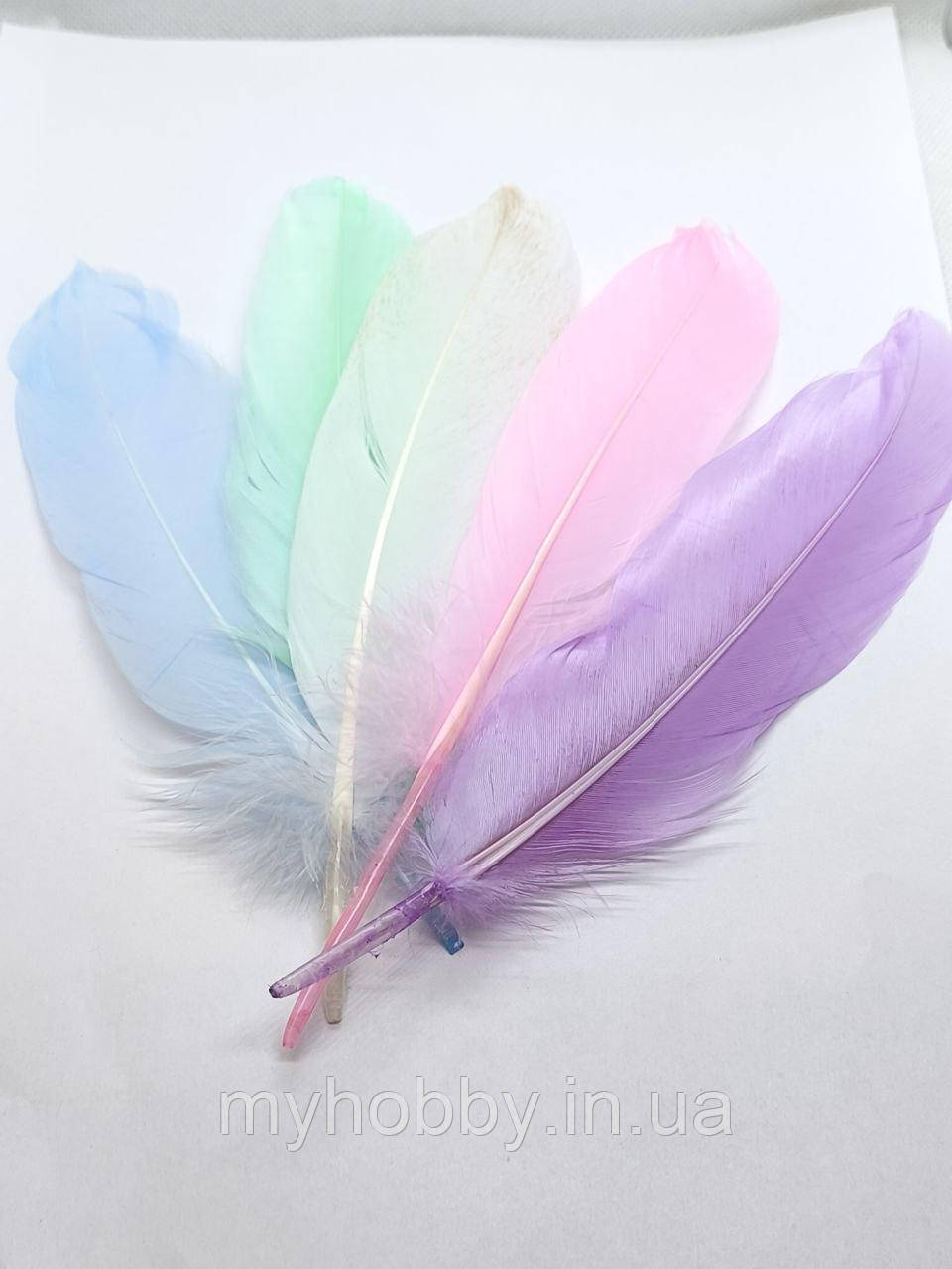 Декоративне Пір'я 16-20см пастельне мікс -5шт, фото 1