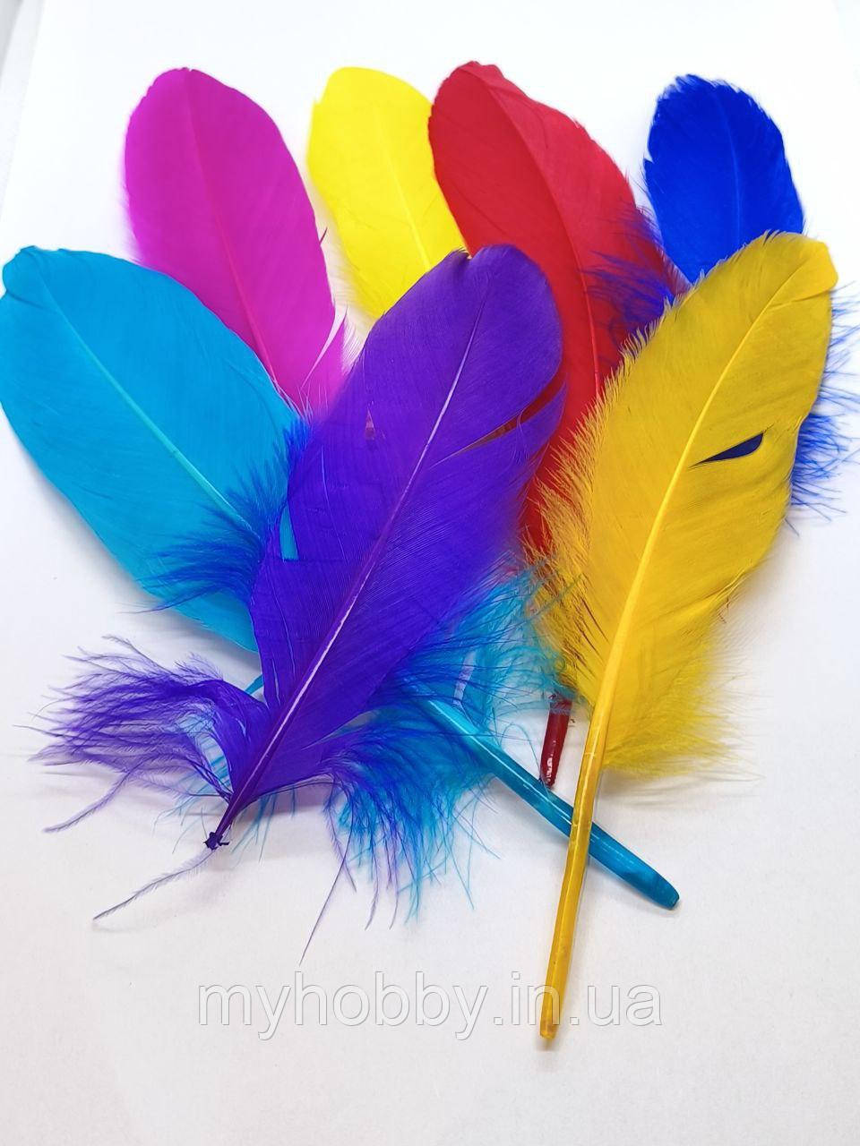 Декоративне Пір'я 15-20см кольорове мікс -5шт, фото 1