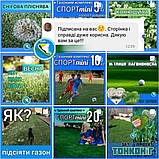 Низькоросла газонна трава Спорт міні від Авторський газон ліліпут Жара Холод Навантаження, фото 6