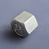 Заглушка муфтова нержавіюча DN10 (3/8") шестигранна, внутрішня різьба BSPP, н/ж сталь AISI304, Class 150, фото 3