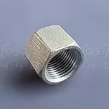 Заглушка муфтова нержавіюча DN10 (3/8") шестигранна, внутрішня різьба BSPP, н/ж сталь AISI304, Class 150, фото 7