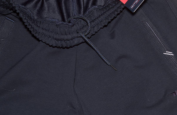 Спортивні штани чоловічі сині туреччина Mxtim/Avic 2325 7XL,8XL,9XL, фото 5