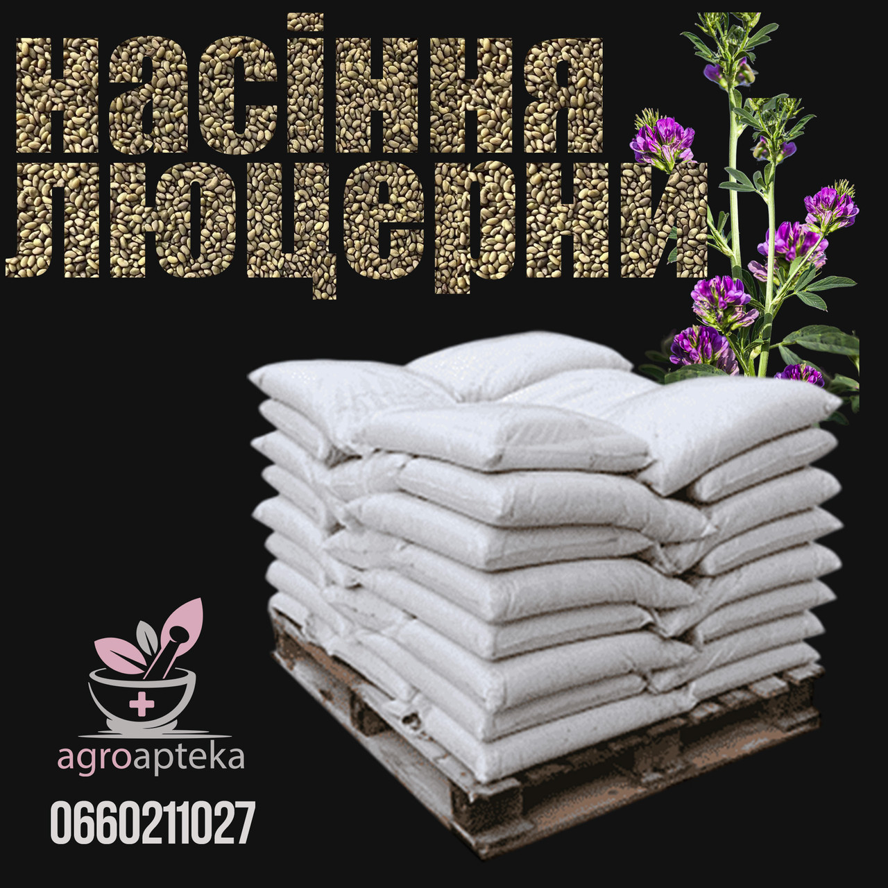 Насіння люцерни Надія (магнічена), фото 1