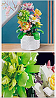 Конструктор квітка в горщику Сукуленти 34см, конструктори 3D квіти, фото 7