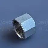 Заглушка різьбова нержавіюча DN25 (1") внутрішня різьба BSPP, н/ж сталь AISI304, Class 150, восьмигранна, фото 9