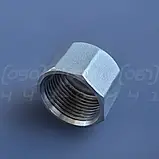 Заглушка різьбова нержавіюча DN25 (1") внутрішня різьба BSPP, н/ж сталь AISI304, Class 150, восьмигранна, фото 8