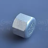 Заглушка різьбова нержавіюча DN25 (1") внутрішня різьба BSPP, н/ж сталь AISI304, Class 150, восьмигранна