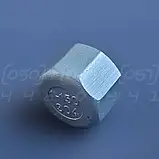 Заглушка різьбова нержавіюча DN25 (1") внутрішня різьба BSPP, н/ж сталь AISI304, Class 150, восьмигранна, фото 3