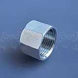 Заглушка різьбова нержавіюча DN25 (1") внутрішня різьба BSPP, н/ж сталь AISI304, Class 150, восьмигранна, фото 6
