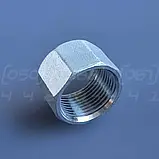 Заглушка різьбова нержавіюча DN25 (1") внутрішня різьба BSPP, н/ж сталь AISI304, Class 150, восьмигранна, фото 7