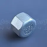 Заглушка різьбова нержавіюча DN25 (1") внутрішня різьба BSPP, н/ж сталь AISI304, Class 150, восьмигранна, фото 2