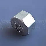 Заглушка нержавіюча DN40 (1"1/2) з внутрішньою різьбою BSPP, н/ж сталь AISI304, Class 150, восьмигранна, фото 3
