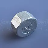 Заглушка нержавіюча DN40 (1"1/2) з внутрішньою різьбою BSPP, н/ж сталь AISI304, Class 150, восьмигранна, фото 2