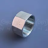 Заглушка нержавіюча DN40 (1"1/2) з внутрішньою різьбою BSPP, н/ж сталь AISI304, Class 150, восьмигранна, фото 6