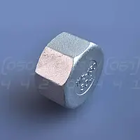 Заглушка нержавіюча DN40 (1"1/2) з внутрішньою різьбою BSPP, н/ж сталь AISI304, Class 150, восьмигранна