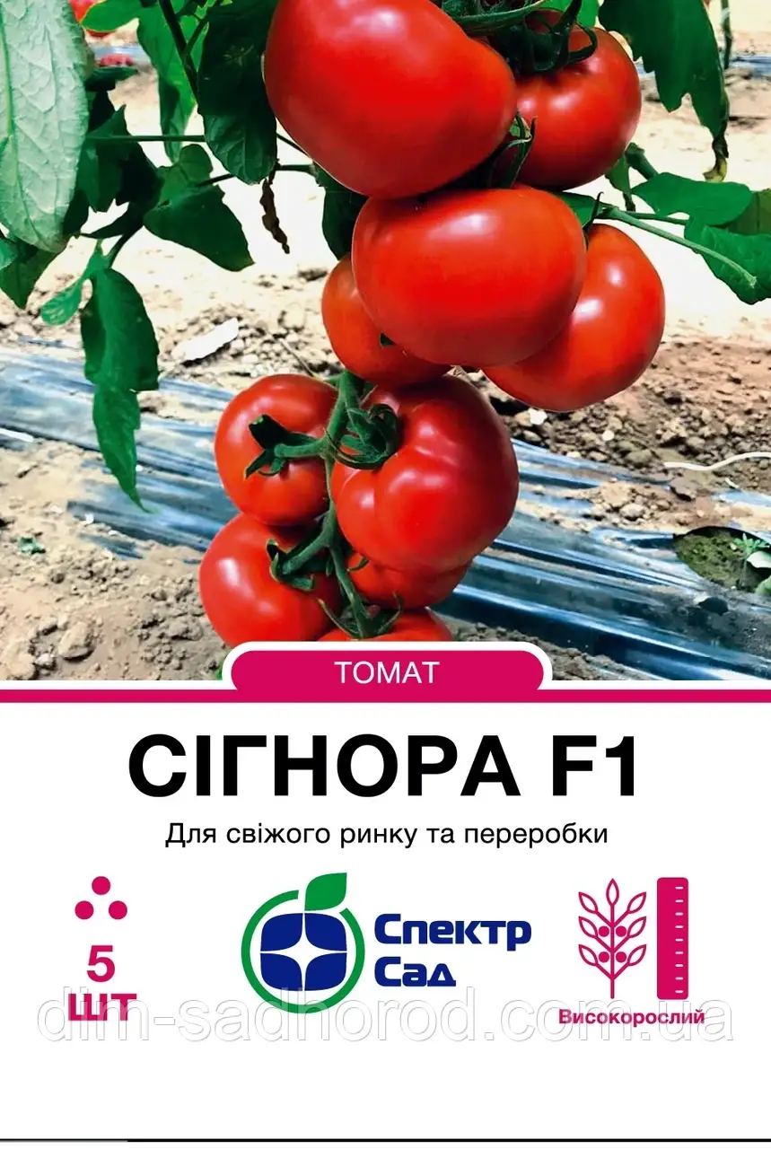 Томат Сігнора F1, 5 шт, фото 1