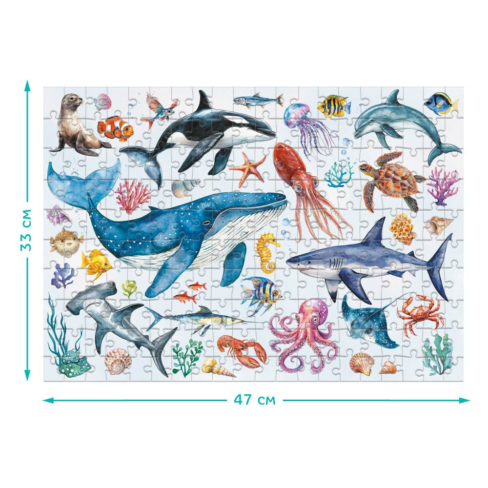 Product image preview