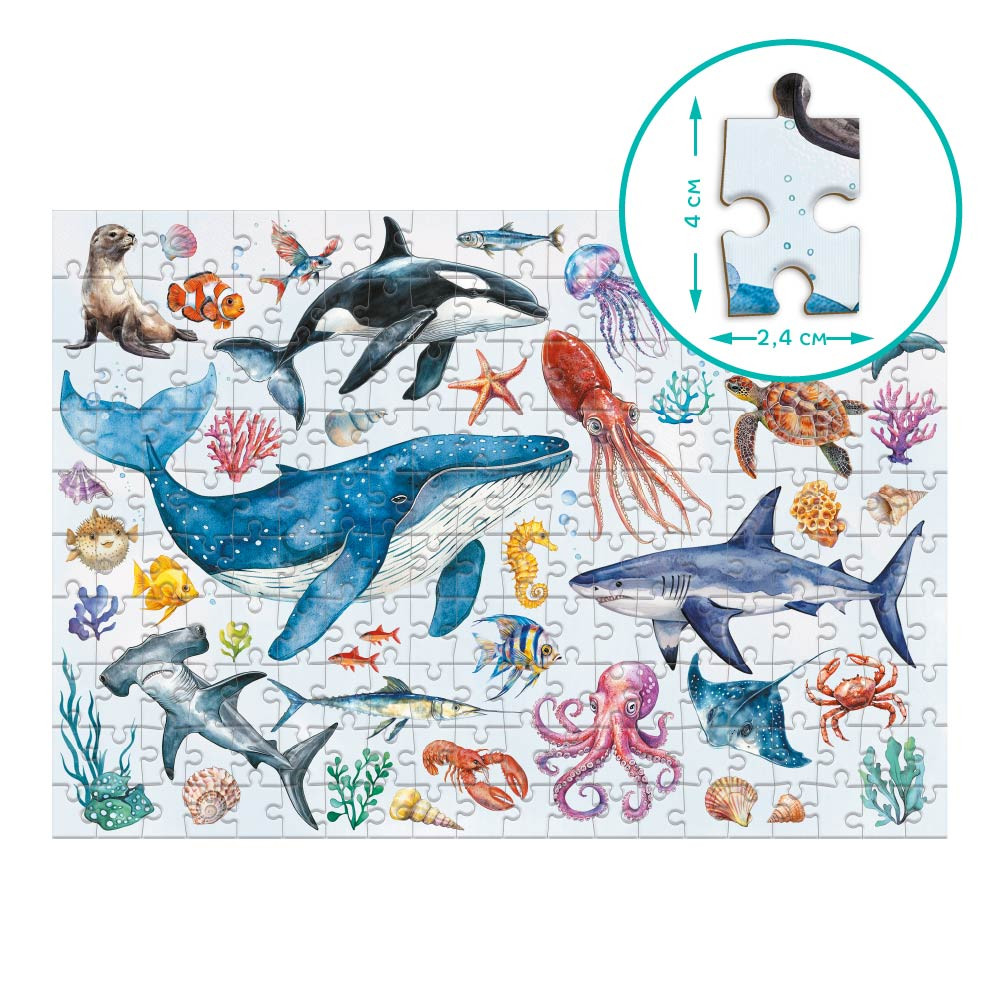 Product image preview