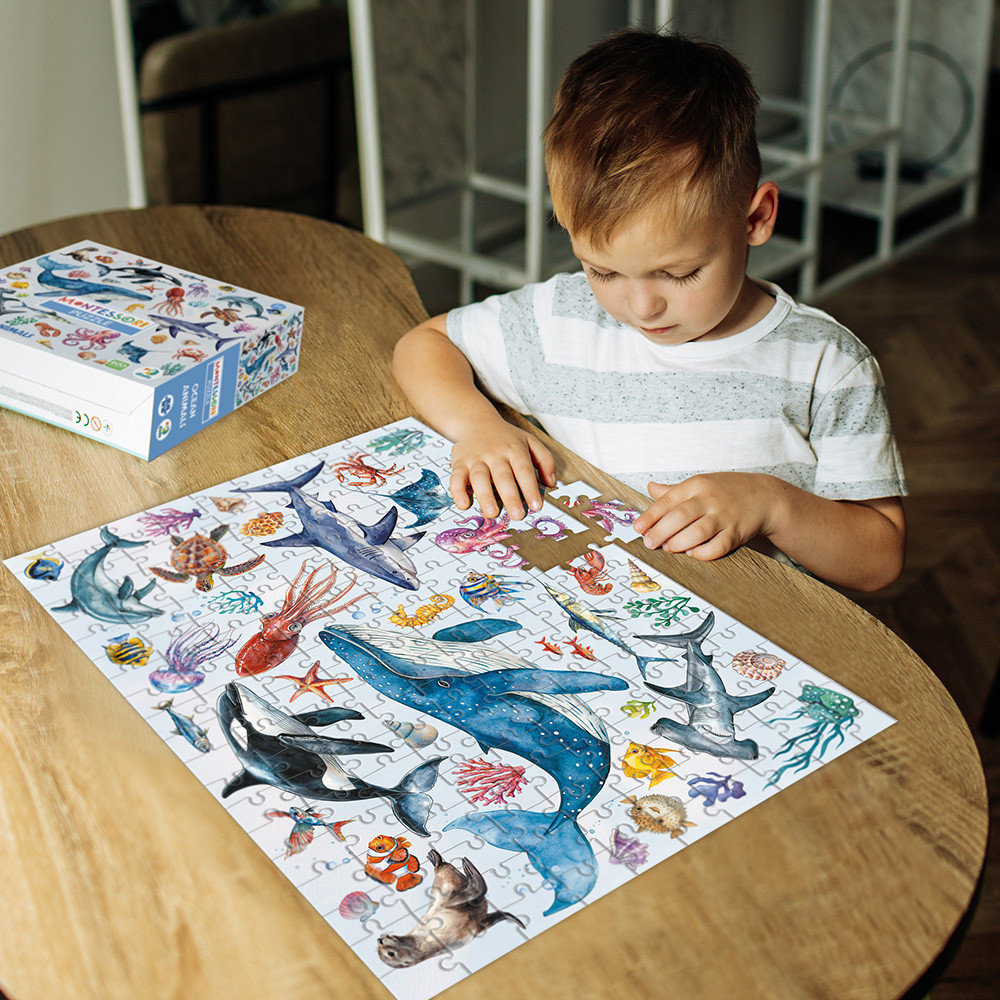 Product image preview