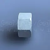 Заглушка нержавіюча DN50 (2") з внутрішньою різьбою BSPP, н/ж сталь AISI304, Class 150, восьмигранна, фото 10