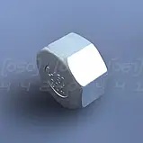 Заглушка нержавіюча DN50 (2") з внутрішньою різьбою BSPP, н/ж сталь AISI304, Class 150, восьмигранна, фото 4