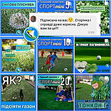 Газон Універсал насіння 1кг газонна трава швидке проростання озеленення травосуміш, фото 8