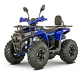 Квадроцикл FORTE AFN150 PRO Об'єм 149 см³ шини-19х7-8"/18х9.5-8" 9.5 к.с. купити в інтернет-магазині дешево, фото 2