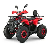 Квадроцикл FORTE AFN150 PRO Об'єм 149 см³ шини-19х7-8"/18х9.5-8" 9.5 к.с. купити в інтернет-магазині дешево, фото 3
