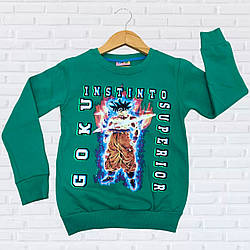 Дитячий джемпер із флісом для хлопчика Розміри: 1-2, 3-4, 5-6, 7-8 років (38266-1)