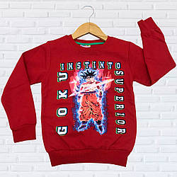 Дитячий джемпер із флісом для хлопчика "Туреччина" Розміри: 1-2, 3-4, 5-6, 7-8 років (38266-2)