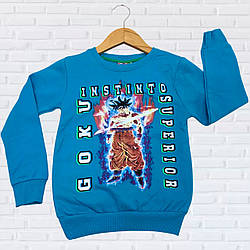 Дитячий синій джемпер із флісом "Туреччина" Розміри: 1-2, 3-4, 5-6, 7-8 років (38266-3)