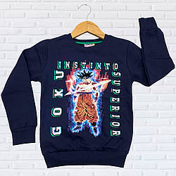 Дитячий джемпер із флісом для хлопчика виробництва Туреччина Розміри: 1-2, 3-4, 5-6, 7-8 років (38266-4)