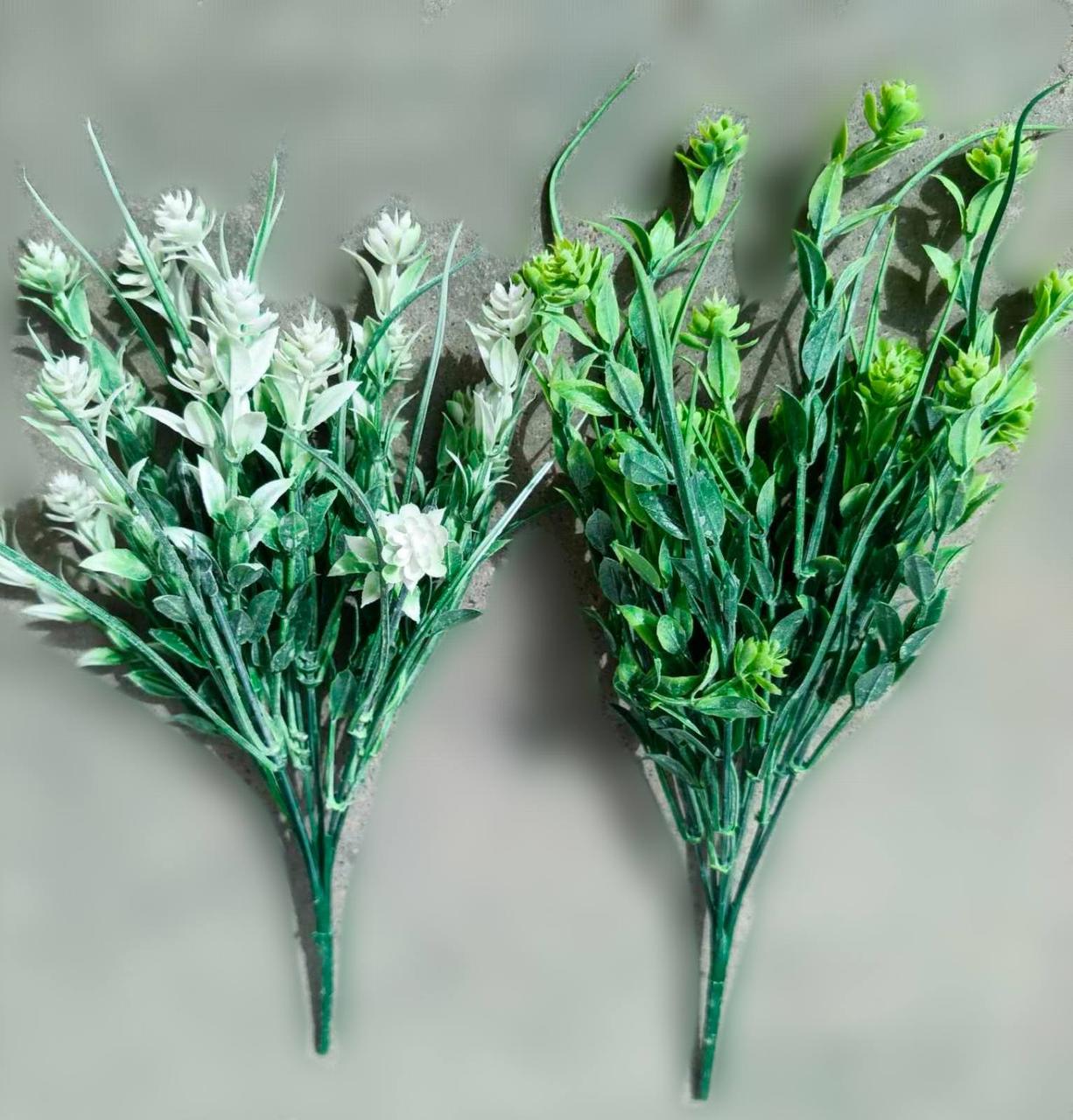 Хміль, фото 1