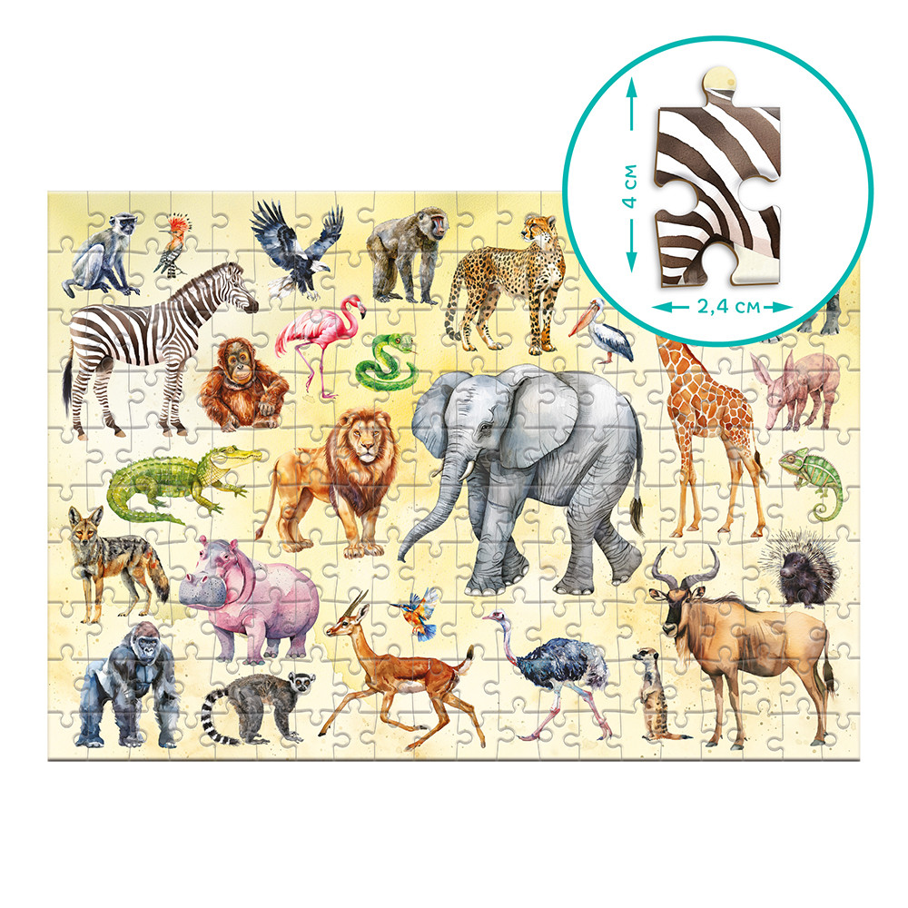 Product image preview