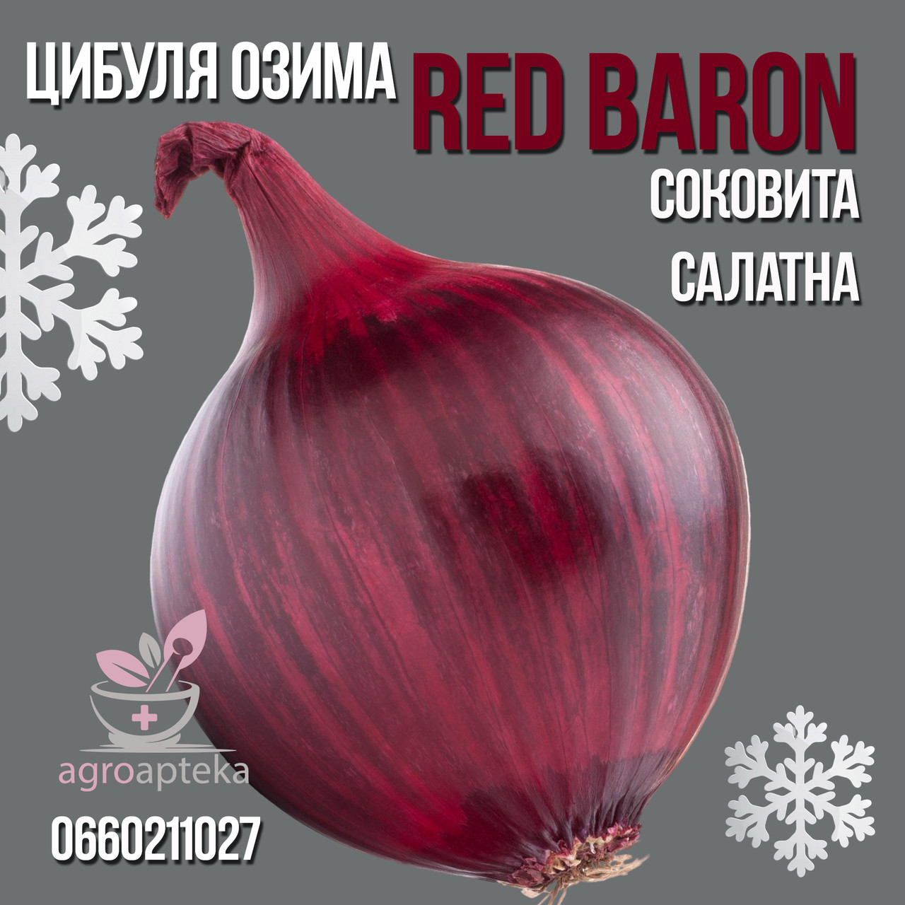 Цибуля сіянка (тиканка) Ред Барон ОЗИМА BROER, фото 1