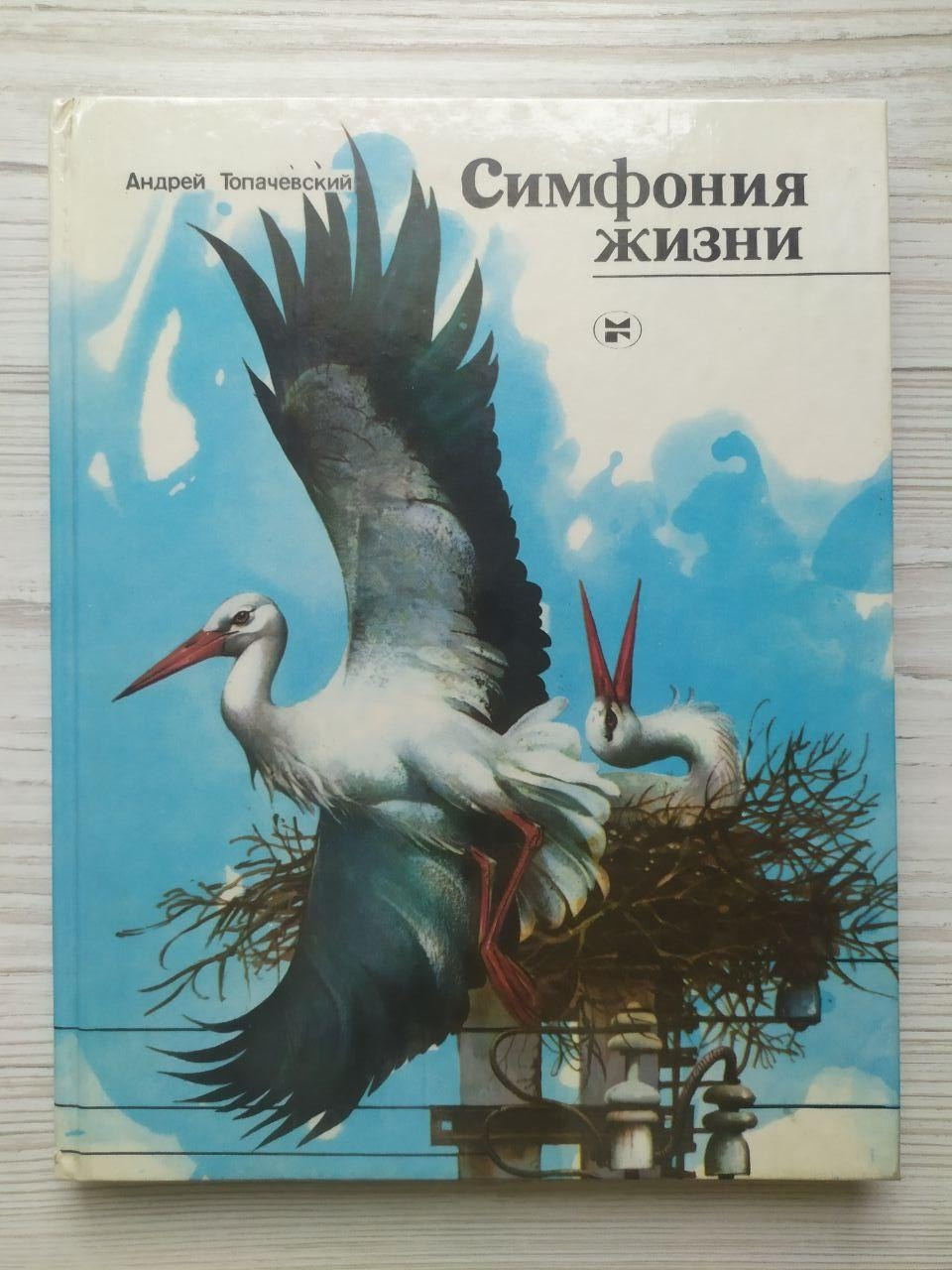 Product image preview