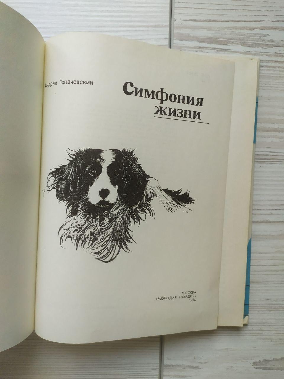 Product image preview