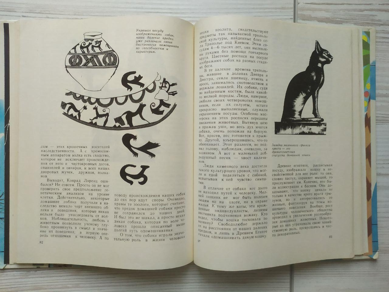 Product image preview