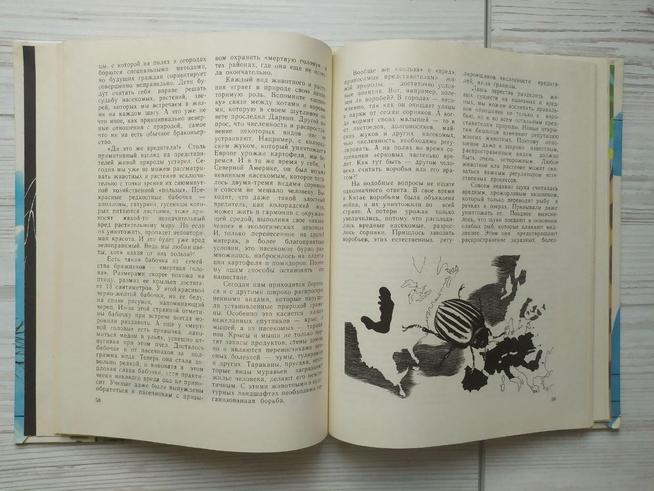 Product image preview