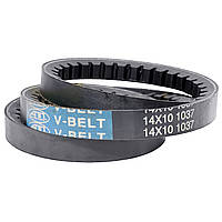 Пас вентиляторний 14-10-1037 з (BX-1037) АПП Синій