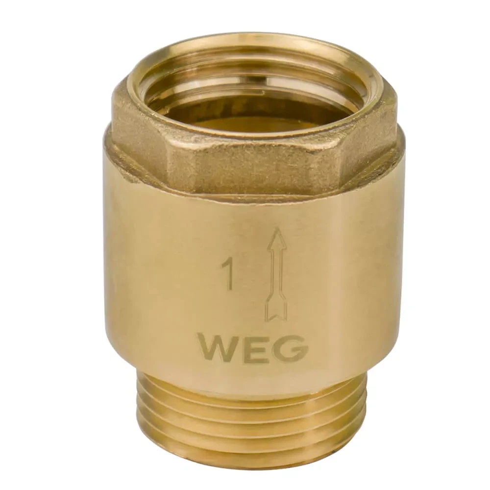 Зворотний клапан із лат. шток   1" ВЗ WEG {90/3}, фото 1