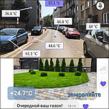 Газон Жара Універсал насіння універсальних стійких газонних трав гарантія+ консультація, фото 9