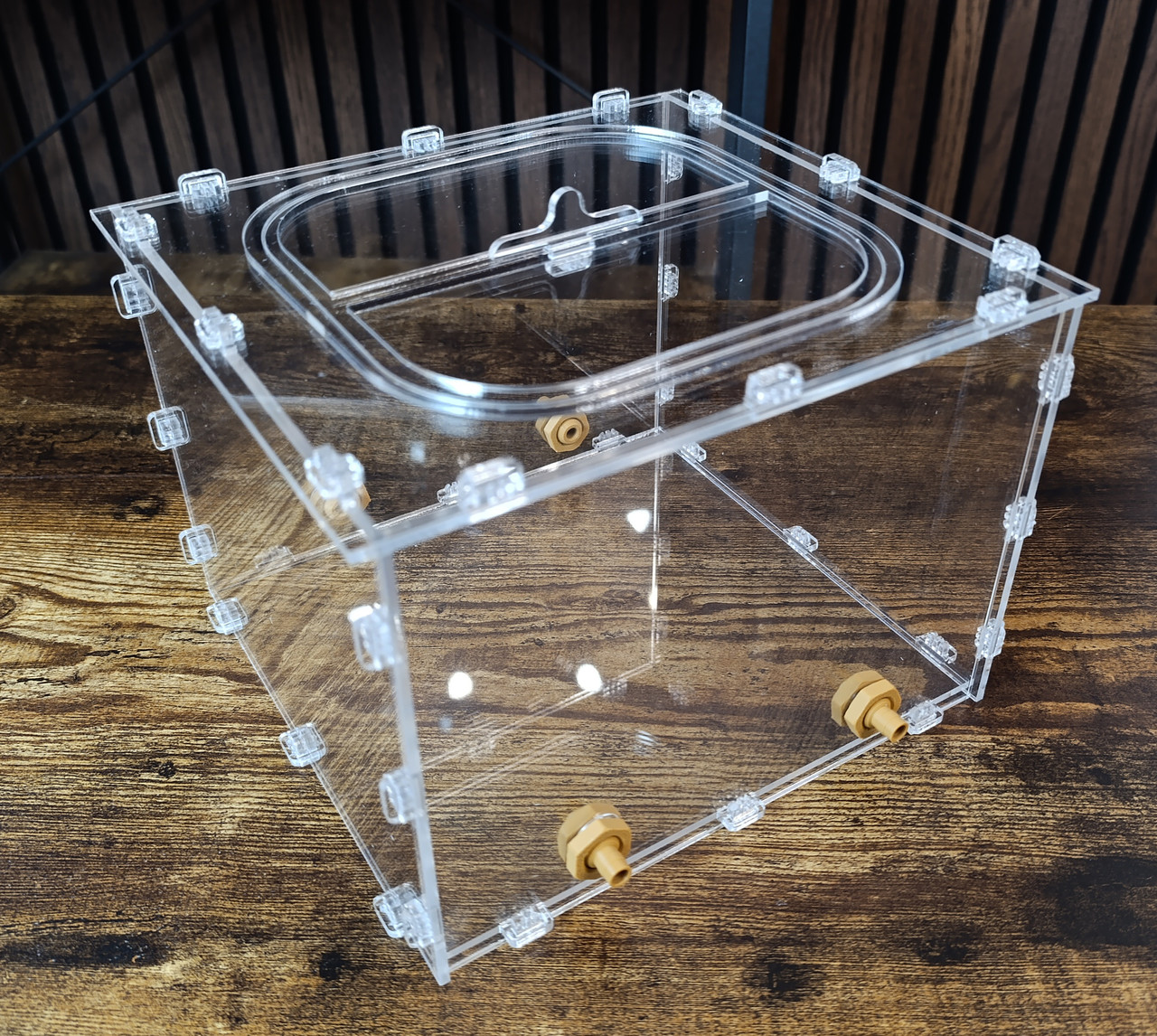 Велика арена для мурашиних ферм – акрилова арена 20 x 20 x 15 см, фото 1