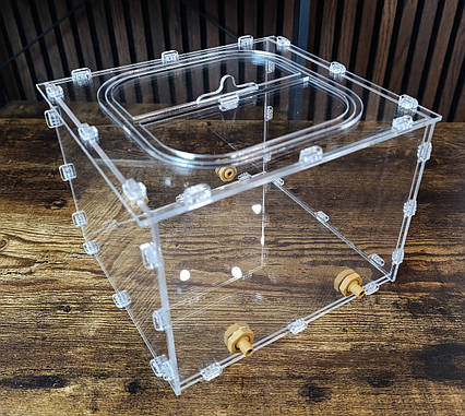 Велика арена для мурашиних ферм – акрилова арена 20 x 20 x 15 см