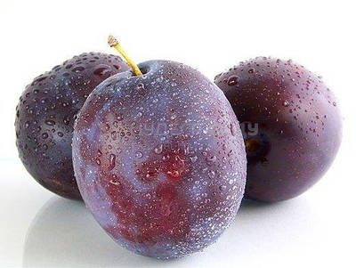 САДЖАНЦІ ДИПЛОЇДНИХ СЛИВ