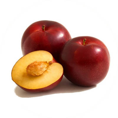 САДЖАНЦІ АЛИЧІ